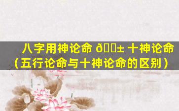 八字用神论命 🐱 十神论命（五行论命与十神论命的区别）
